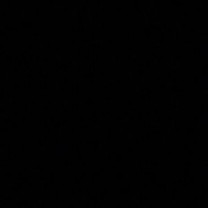 Meet your Posher, Eliza